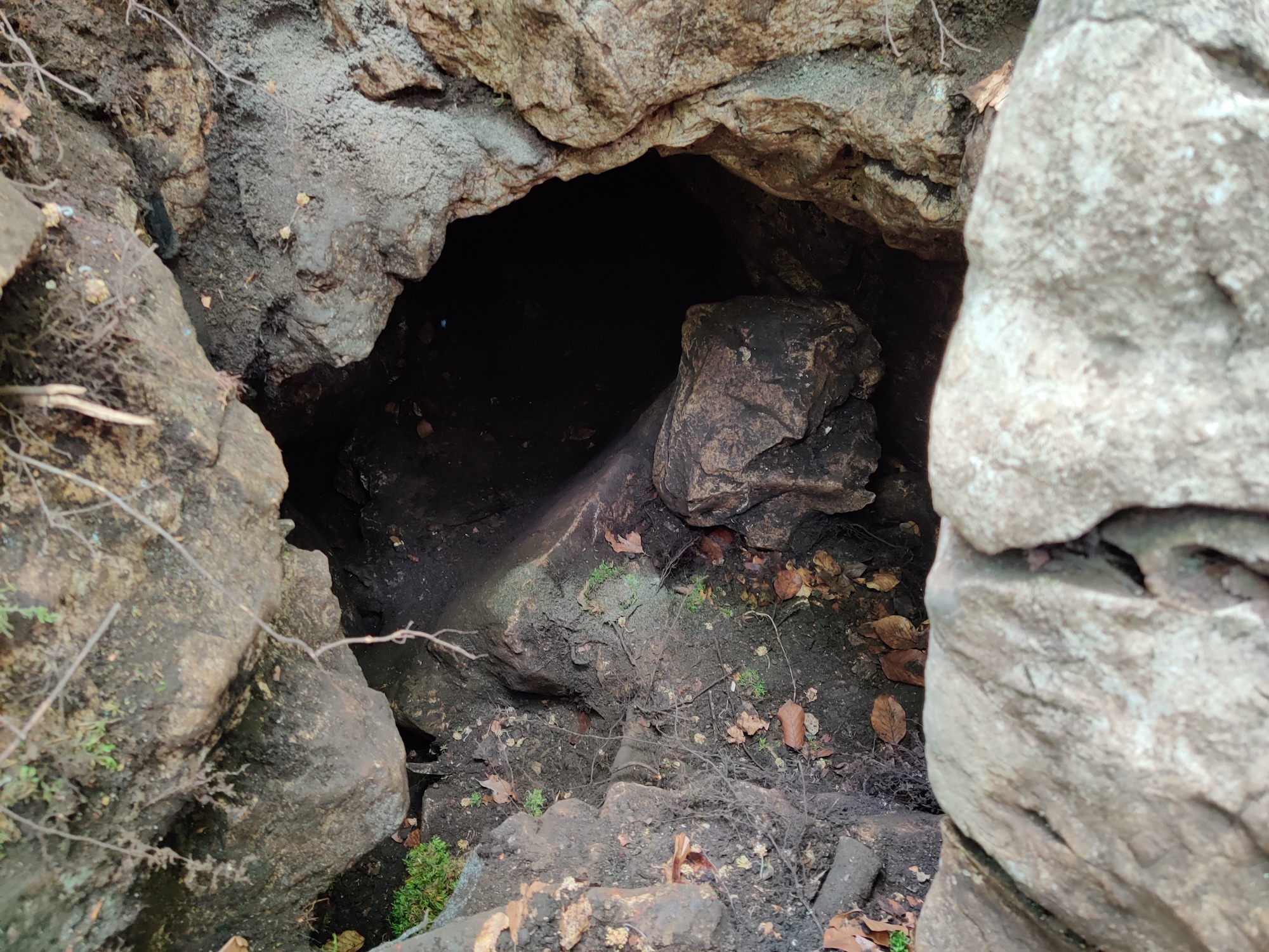 Peștera Sanela - Image 2